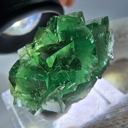 Cube de fluorite fantôme parqueté, vert Okorusu, Namibie 25*21*16mm 
