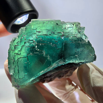 Spécimen de cube de fluorite fantôme transparente, vert parqueté, Okorusu, Namibie, 60 x 44 x 40 mm 