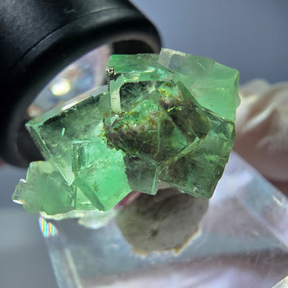 Spécimen de cube de fluorite fantôme, vert violet, Okorusu, Namibie, 25 x 24 x 15 mm 