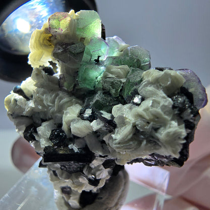 Cube de fluorite fantôme, zonal, muscovite, spécimen de tourmaline Schorl, Erongo, Namibie, 36 x 31 x 22 mm 