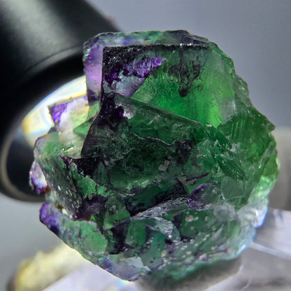 Cube de fluorite fantôme zonal, spécimen de tourmaline Schorl, Erongo, Namibie, 26 x 22 x 18 mm 