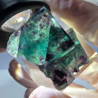 Spécimen de cube de fluorite fantôme, parqueté vert violet Okorusu, Namibie 31*25*20 mm 