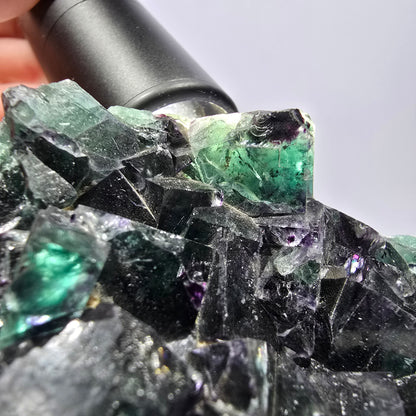 Grand spécimen de cube de fluorite fantôme, vert violet Okorusu Namibie 99*74*32mm 