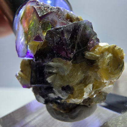 Spécimen de fluorite fantôme colorée, tourmaline scholle, muscovite, Erongo, Namibie, 27 x 24 x 18 mm 