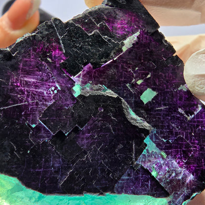 Spécimen de cube de fluorite fantôme vert violet zonal 11:11 Angel Pocket, Namibie 56*48*19mm 