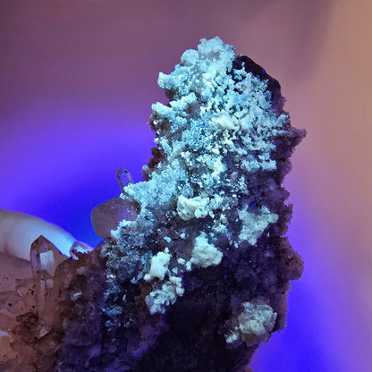 Quartz fumé Harlequin, spécimen de calcite UV, poche Valentine Goboboseb, Namibie, 79 x 63 x 34 mm 