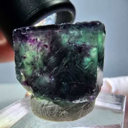 Phantom Fluorit Würfel parkettiert, grün lila Okorusu, Namibia 22*20*14mm