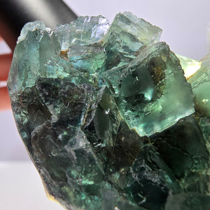 Rare spécimen de cube de fluorite fantôme, parqueté vert Okorusu, Namibie, 43 x 39 x 20 mm 