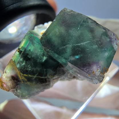 Spécimen de cube de fluorite fantôme, parqueté vert violet Okorusu, Namibie 25*24*16 mm 