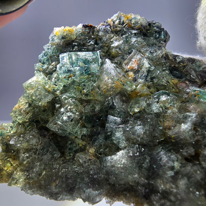 Cubes rares de fluorite fantôme zonale, vert violet, Erongo, Namibie 63*59*18 mm 