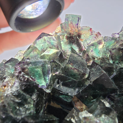 Grand spécimen de cube de fluorite fantôme, vert violet, Okorusu, Namibie, 83 x 55 x 29 mm 
