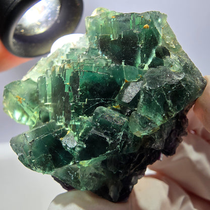 Spécimen de cube de fluorite fantôme parqueté vert violet Okorusu, Namibie 42*38*24mm 