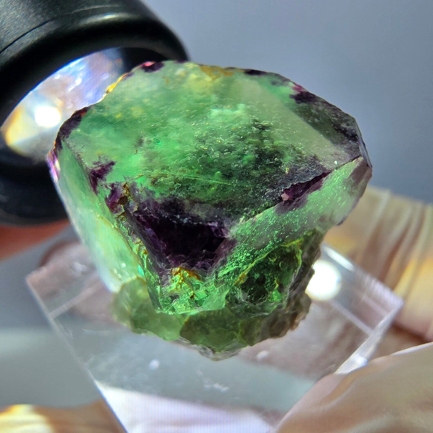 Cube de fluorite fantôme parqueté, zonal, vert violet Okorusu, Namibie 22*21*19mm 
