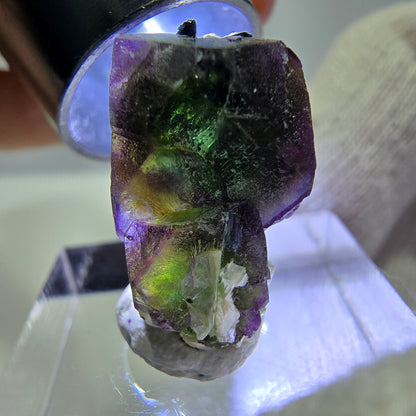 Cube de fluorite fantôme hexagonal, muscovite, tourmaline Schörl Erongo, Namibie 21*14*11mm 
