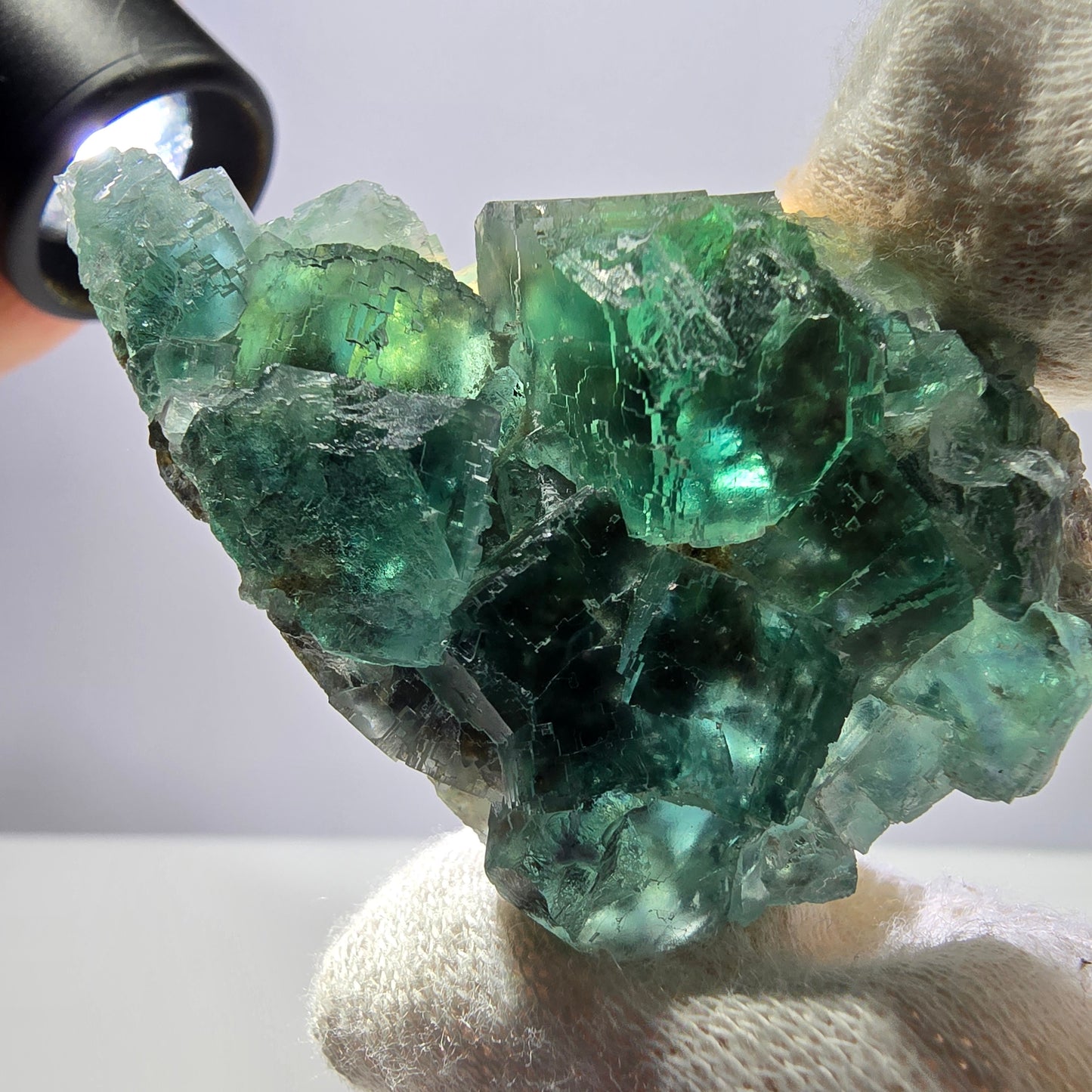 Rare spécimen de cube de fluorite fantôme, parqueté vert Okorusu, Namibie, 62 x 39 x 19 mm 