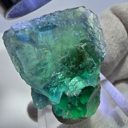 Spécimen de cube de fluorite fantôme, parqueté, vert turquoise Okorusu, Namibie 29*24*19mm 