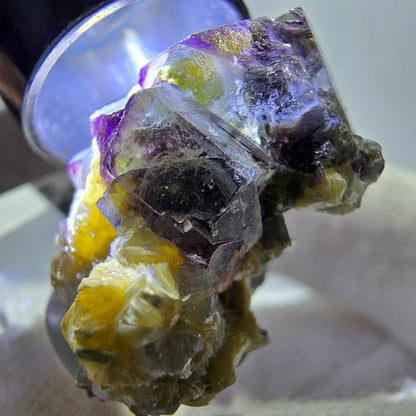 Spécimen de fluorite fantôme colorée, tourmaline scholle, muscovite, Erongo, Namibie, 27 x 24 x 18 mm 