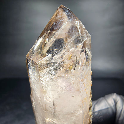 Points à double terminaison en quartz fumé fantôme clair Goboboseb namibie 62*25*19mm