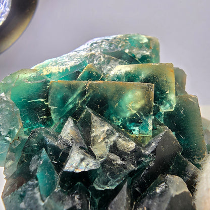 Rare spécimen de cube de fluorite fantôme, parqueté vert Okorusu, Namibie, 92 x 61 x 38 mm 