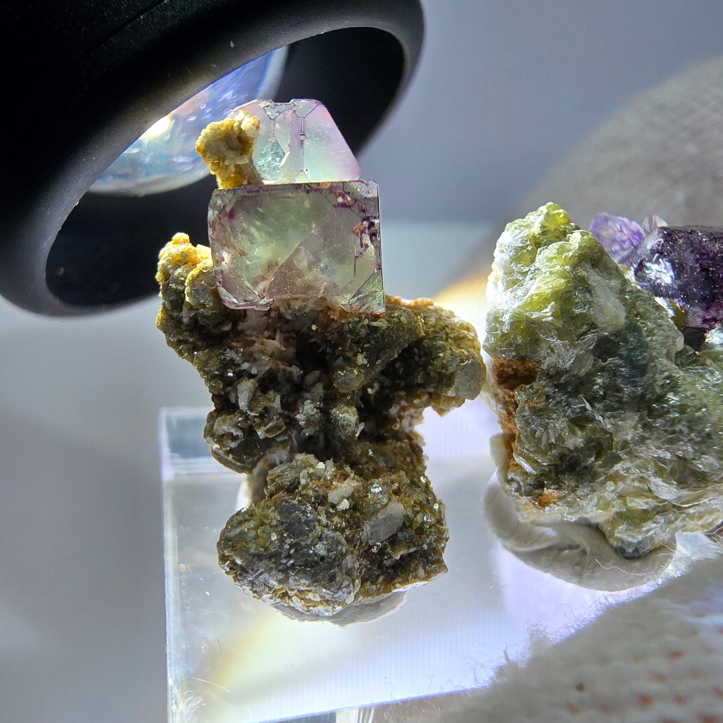 Lot de 2 cubes de fluorite fantôme zonaux, spécimen de muscovite Erongo, Namibie 20+23 mm 