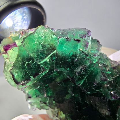 Spécimen de cube de fluorite fantôme, parqueté, zonal Okorusu, Namibie 51*34*28mm 