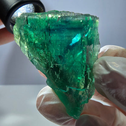 Spécimen de cube de fluorite fantôme transparente, vert parqueté, Okorusu, Namibie, 50 x 30 x 22 mm 