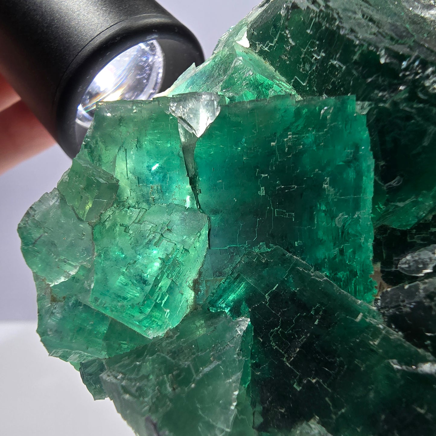 Rare spécimen de cube de fluorite fantôme, parqueté vert Okorusu, Namibie, 79 x 72 x 36 mm 