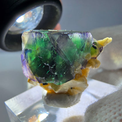 Cube de fluorite fantôme zonal, tourmaline muscovite Schörl Erongo Namibie 24 x 20 x 18 mm 