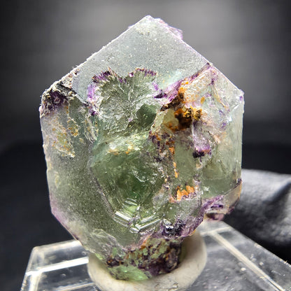 Zonar Phantom Fluorite Cube Tier Vert Violet Erongo Namibie 29*20*17mm