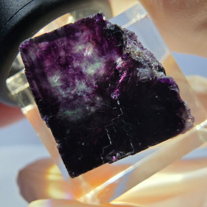 Phantom Fluorit Würfel parkettiert, grün lila Okorusu, Namibia 18*15*15mm