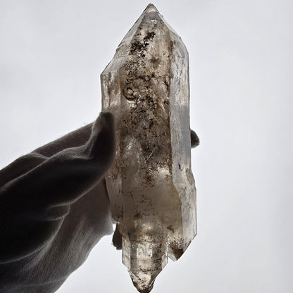 XL Skeleton Phantom Smoky Quartz DT Sceptre Valentine Pocket, Namibie 183*56*44mm 