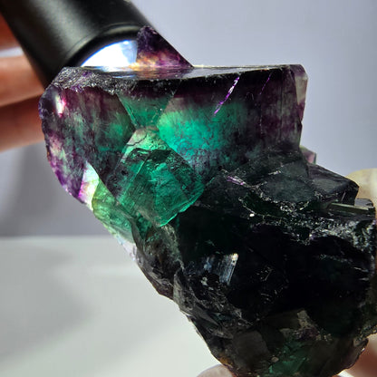 Spécimen de cube de fluorite fantôme, parqueté vert violet Okorusu, Namibie 58*40*27 mm 