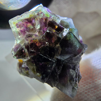 Spécimen de fluorite fantôme colorée, tourmaline scholle, muscovite, Erongo, Namibie, 33 x 29 x 23 mm 