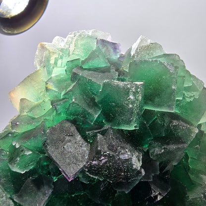 Grand spécimen de cube de fluorite fantôme, parqueté, double face Okorusu, Namibie 98*91*71mm 