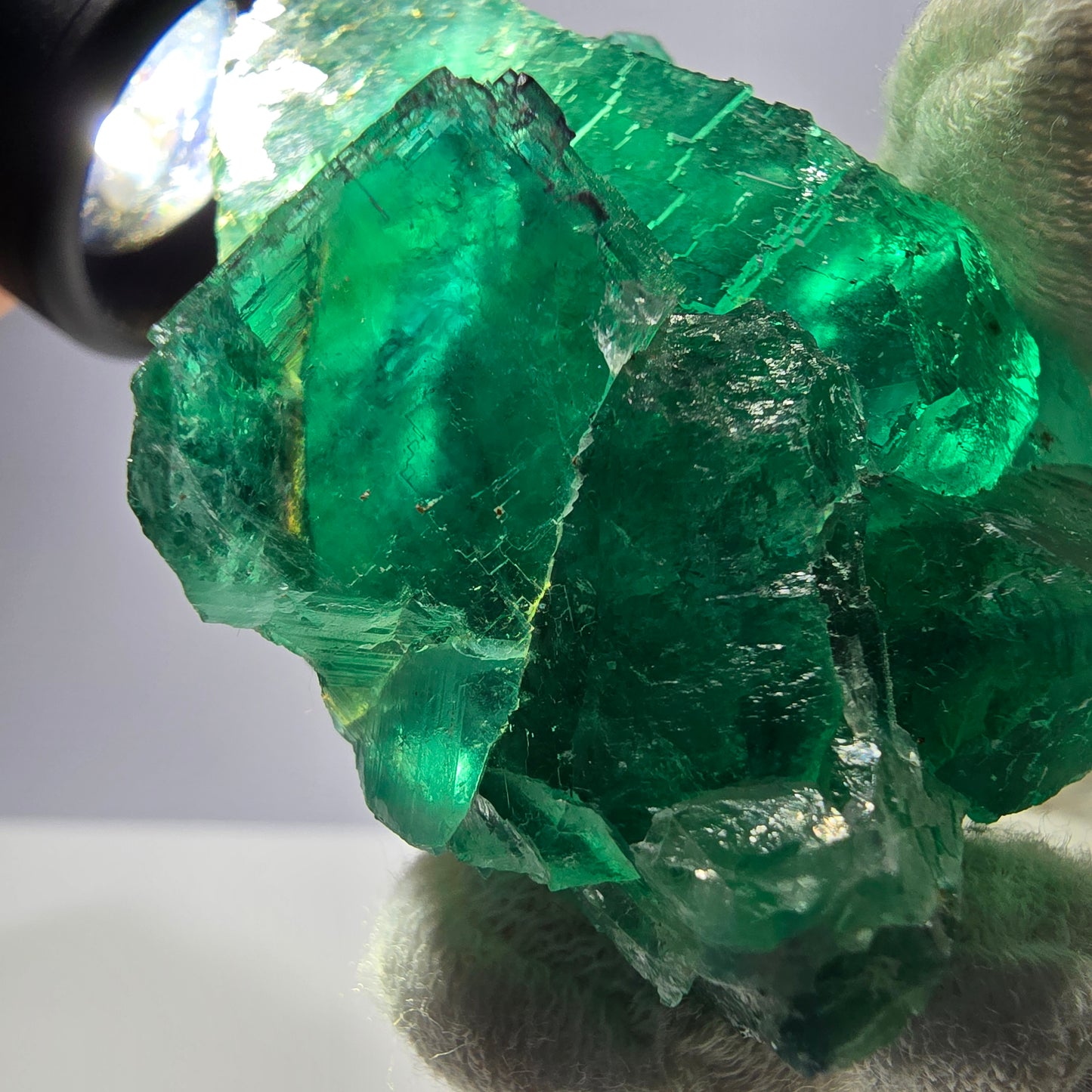 Grand spécimen de cube de fluorite fantôme, parqueté vert Okorusu, Namibie, 69 x 46 x 32 mm 