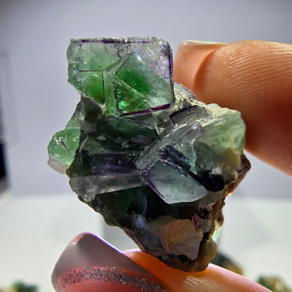 Lot de 16 fluorites fantômes, hyalites, tourmalines Schörl, muscovites, marches d'Erongo, Namibie 