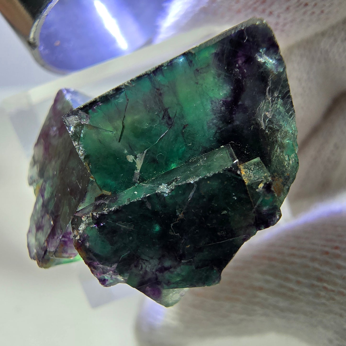 Rare spécimen de cube de fluorite fantôme, vert-violet zonal, Okorusu, Namibie, 26 x 21 x 18 mm 