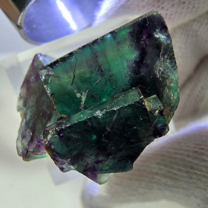 Rare spécimen de cube de fluorite fantôme, vert-violet zonal, Okorusu, Namibie, 26 x 21 x 18 mm 