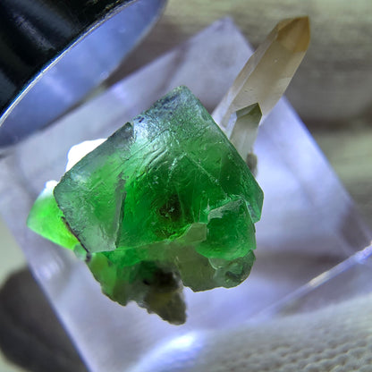 Cube de fluorite fantôme zonal, quartz fumé, spécimen de muscovite, Erongo, Namibie, 19 x 15 x 12 mm 
