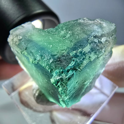 Cube de fluorite fantôme transparente parquetée, vert Okorusu, Namibie 21 x 21 x 19 mm 