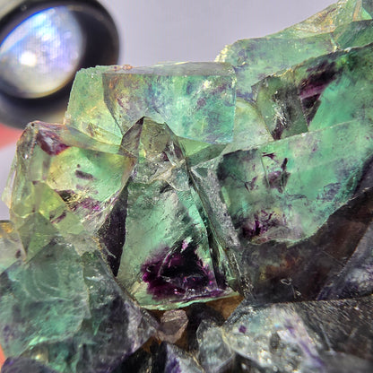Spécimen de cube de fluorite fantôme, parqueté vert violet Okorusu, Namibie 64*41*19 mm 