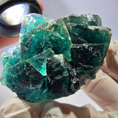 Spécimen de cube de fluorite fantôme, parqueté vert violet Okorusu, Namibie 53*49*28 mm 