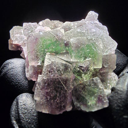 Phantom Fluorite Cube Tier Violet Vert Blanc Erongo, Namibie 55*35*21mm Collection