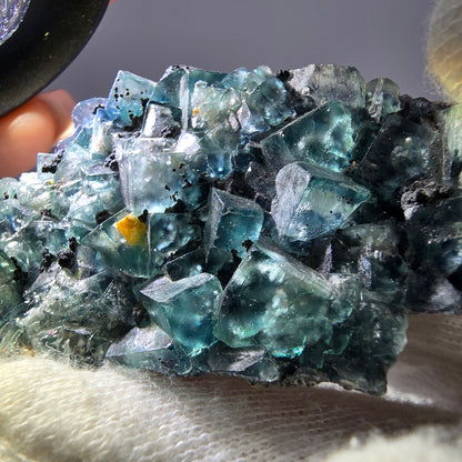 Cubes rares de fluorite fantôme zonale, vert violet, Erongo, Namibie 74 x 41 x 9 mm 