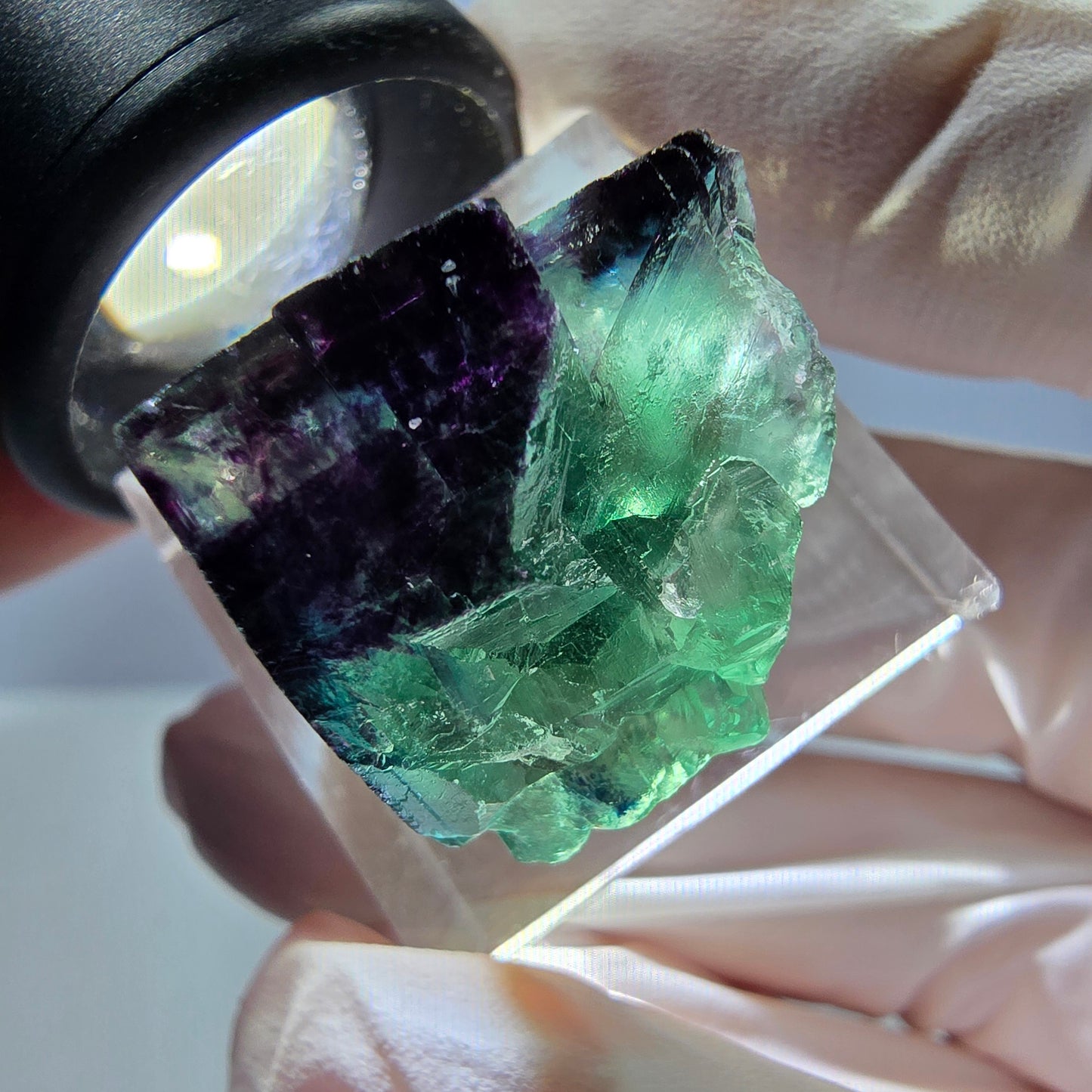 Phantom Fluorit Würfel Stufe grün lila zonal 11:11 Angel Pocket, Namibia 24*21*19mm