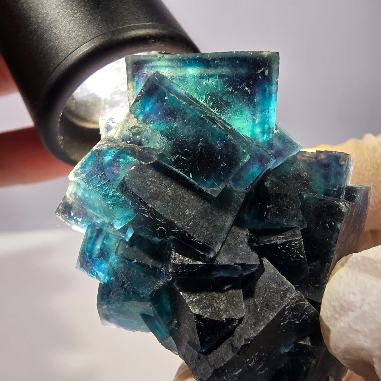 Rare spécimen de cube de fluorite fantôme, poche papillon, Okorusu, Namibie, 51 x 39 x 24 mm