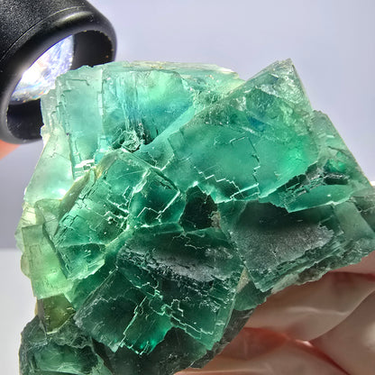 Rare spécimen de cube de fluorite fantôme, parqueté vert Okorusu, Namibie, 61 x 45 x 28 mm 