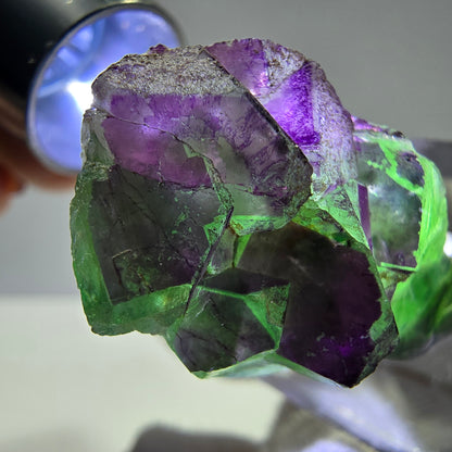Phantom Fluorit Würfe Stufe, grün lila Erongo, Namibia 32*22*12mm