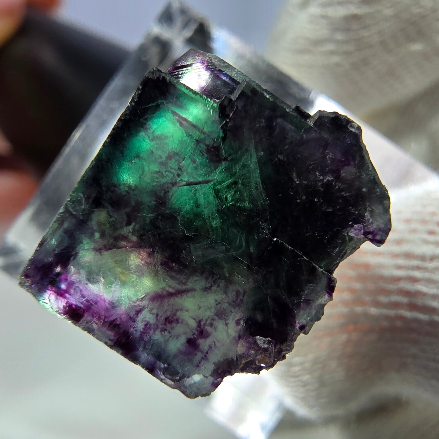 Spécimen rare de cube de fluorite fantôme, vert zonal et violet, Okorusu, Namibie, 24 x 16 x 17 mm 