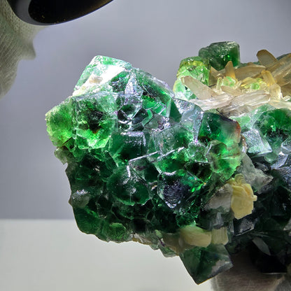 Fluorite fantôme XL, muscovite, hyalite, quartz fumé, tourmaline Schörl, Erongo, Namibie, 134 x 100 x 77 mm 